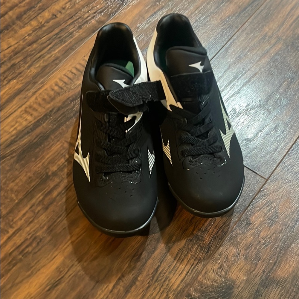 Mizuno NWOT baseball cleats